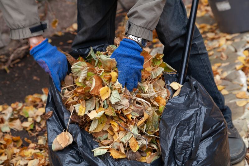 Gathered Leaves and Debris