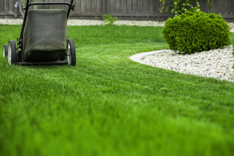 Lawn After Mowing