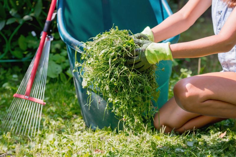 Close-up of Grass Cuttings
