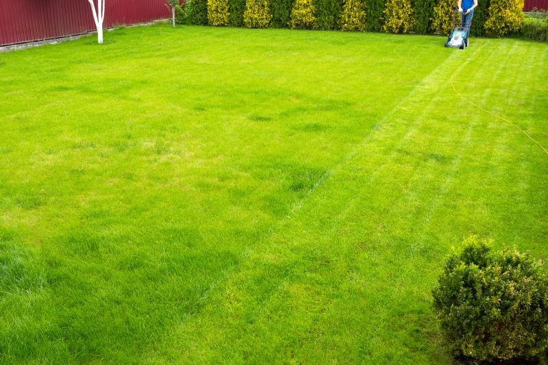 Healthy Lawn Mowing