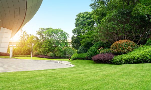 Commercial Lawn Mowing in Joplin