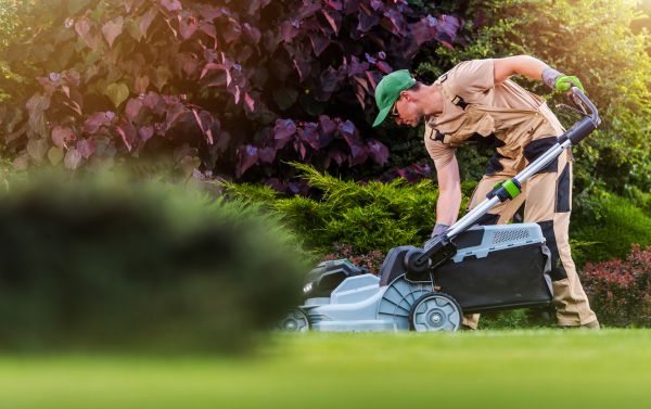 Lawn Care And Maintenance in Joplin