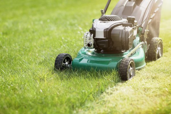 Cost of Yard Cutting in Joplin