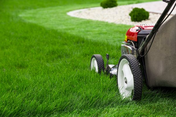 Yard Maintenance in Joplin