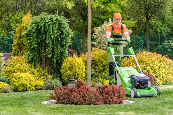 Yard Service in Joplin