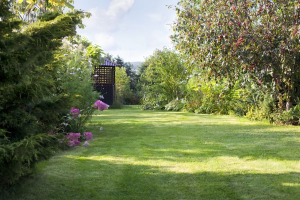 Cost of Yard Upkeep Service in Joplin