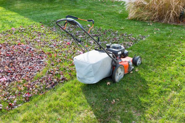 Seasonal Lawn Care in Joplin