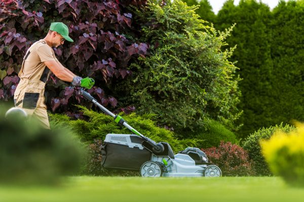 Lawn Management in Joplin
