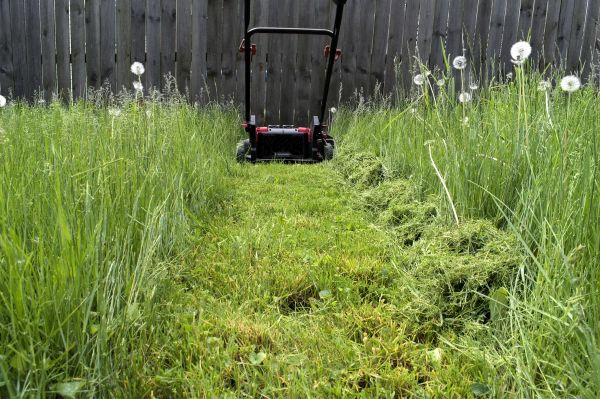 High Grass Mowing in Joplin