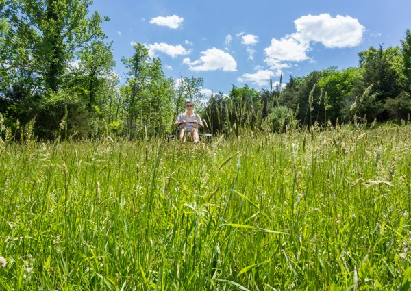 Long Grass Mowing in Joplin