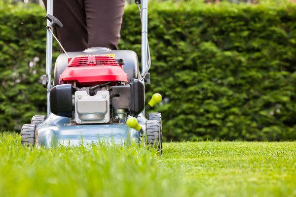 Grass Trimming Service in Joplin