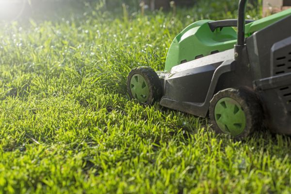 Cost of Lot Mowing in Joplin