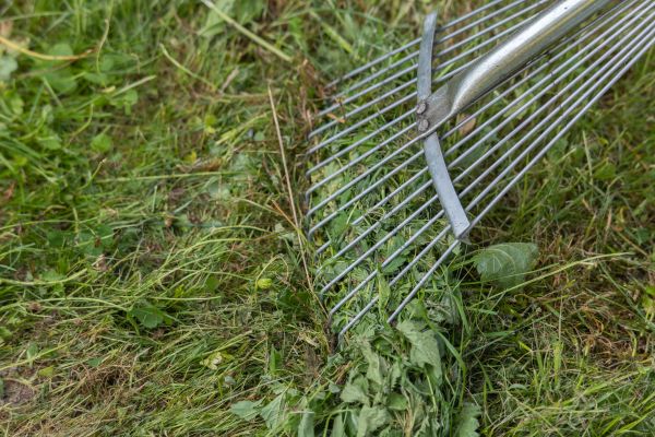 Thatch Raking in Joplin