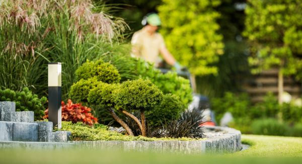 Residential Yard Maintenance in Joplin