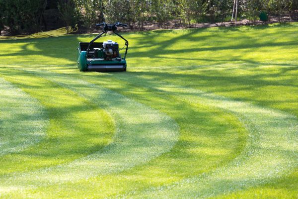 Business Lawn Mowing in Joplin