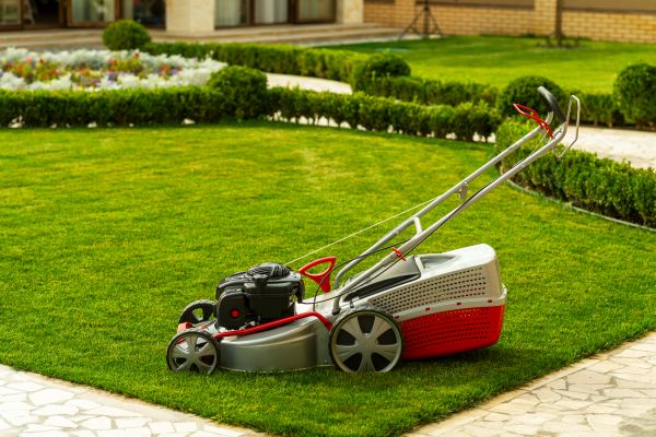 Business Grass Cutting in Joplin