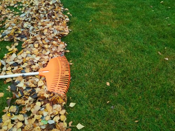 Fall Lawn Care in Joplin