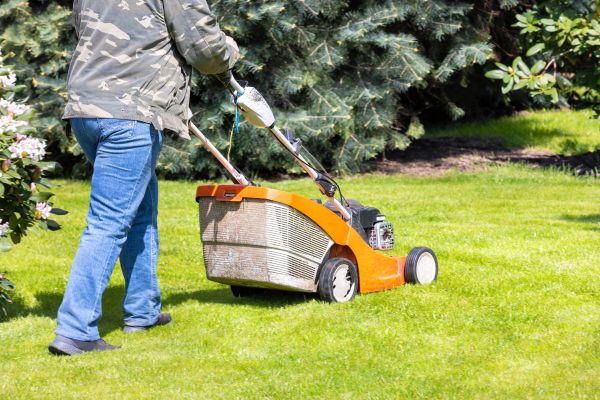 Springtime Lawn Care in Joplin