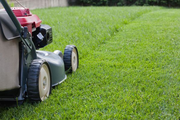 Spring Lawn Maintenance in Joplin