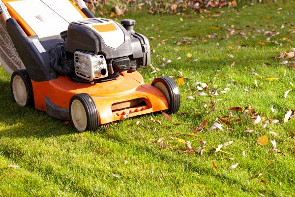 Cost of Fall Mowing in Joplin