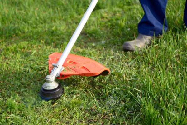 Lawn Weed Whacking in Joplin