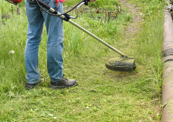Cost of Tall Grass Trimming in Joplin